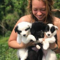 puppies