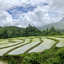 Expect views like this over the rice paddies. 