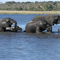 Let's Go Africa at Okavango Delta Botswana