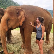 Elephant Nature Park