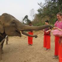 Elephant Sanctuary 