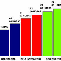 Dele exam levels