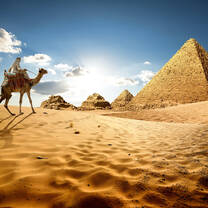 Explore Egypt 