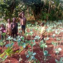 farming
