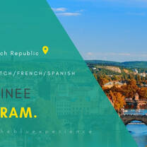 IT Trainee Program in Prague (6 months)