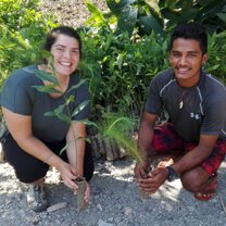 Tree plantation project A new batch of trees for the nursery