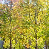 Relaxed campus lifestyle