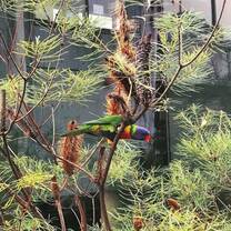 Wildlife is abound on campus