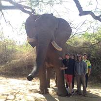 Students at Elephant Sanctuary with Bold Earth Adventures.