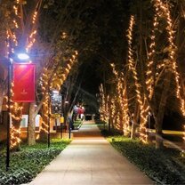 Evening walk around central campus Evening walk around central campus