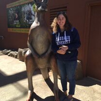 Friendly Kangaroo Friendly kangaroo