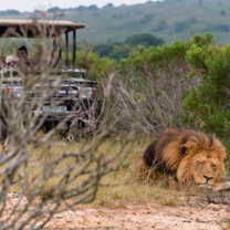 Game Reserve Volunteering with Gapforce 