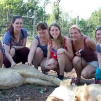Game Reserve Volunteering with Gapforce 