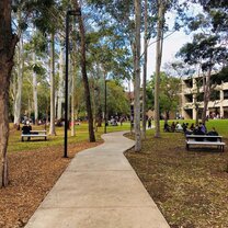 Vibrant campus atmosphere Vibrant campus atmosphere