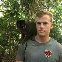 Lemur 