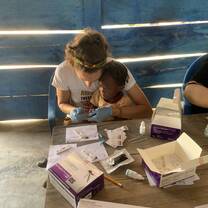 Malaria testing at the schools