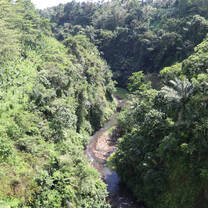 Experience Indonesia's incredible natural beauty