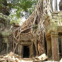 Teach in Cambodia