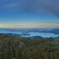 View of Dunedin from Mt. Cargill 