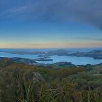 View of Dunedin from Mt. Cargill 