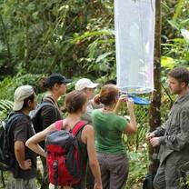 Volunteer take part in geo-mapping project in kakamega rain forest