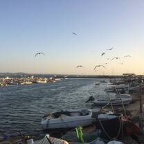 Culatra Island5