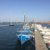 Culatra Island2