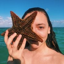 Starfish at Caye Caulker 