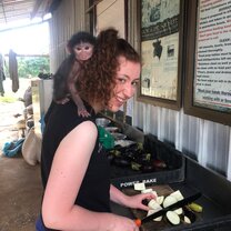 A 7 week old baboon, Rosie, who will eventually be wild A 7 week old baboon, Rosie, who will eventually be wild