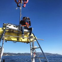 Looking for dolphins