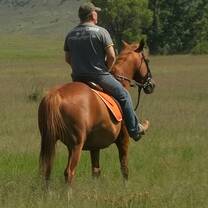 Horse riding