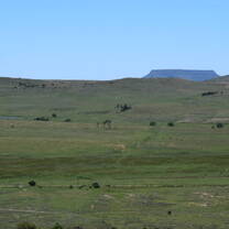 Game farm 