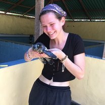 Cleaning turtles