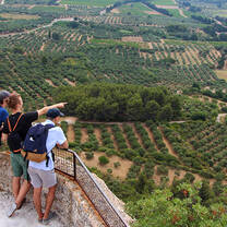 Students look over the vineyards below.