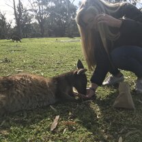 My first time meeting a kangaroo
