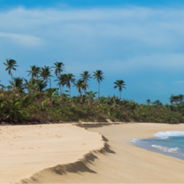 Volunteer in Puerto Rico with IVHQ