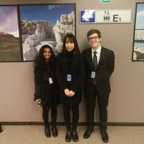 Wonderful Experience in Brussels
