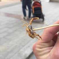 The fried scorpion!