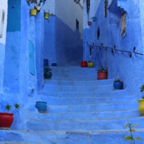Study Abroad in Morocco with Araland Abroad