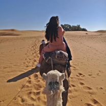 Study Abroad in Morocco with Araland Abroad