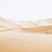 Study Abroad in Morocco with Araland Abroad