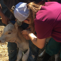 Farm Day