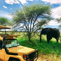 Safari in Tanzania 
