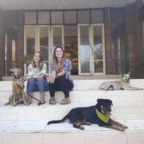 Where we worked on temple grounds with some of our pups!