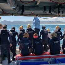 A+ World Academy Students shark diving in Cape Town