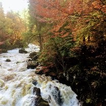 This photo was taken during the weekend trip to the Highlands at the Hermitage - a protected site in Scotland. 