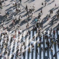 Shibuya Scramble Crossing