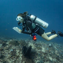 diver in the ocean