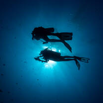 divers in the ocean 