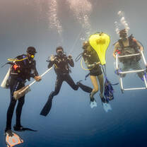Intern team retrieving the BRUV